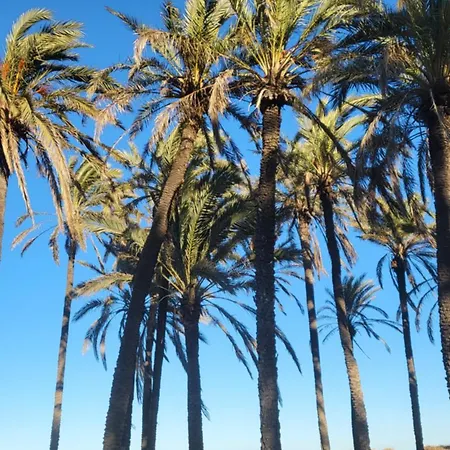 Apartament Mar Azul, Punta Prima,la Recoleta,4 Swimming Pools And Close To The Sea