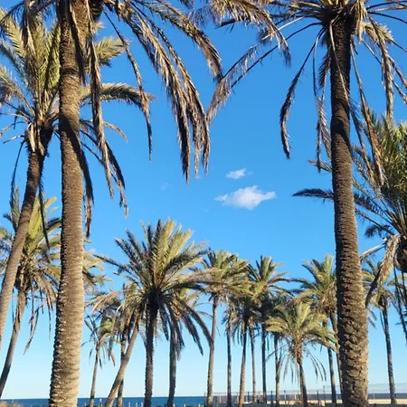 Mar Azul, Punta Prima,la Recoleta,4 Swimming Pools And Close To The Sea Apartamento Torrevieja