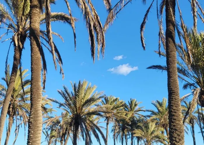 Mar Azul, Punta Prima,la Recoleta,4 Swimming Pools And Close To The Sea Apartment Torrevieja