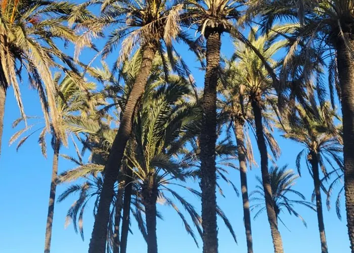 Apartman Mar Azul, Punta Prima,la Recoleta,4 Swimming Pools And Close To The Sea